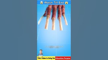 What if you never cut your nails #shorts #shortsfeed #facts #3danimation #trendingshortvideo