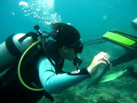 lan bien nha trang New Update Lặn biển Nha Trang (part 2)