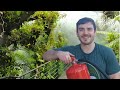 How to Make a High Pressure Misting System with a Fire Extinguisher