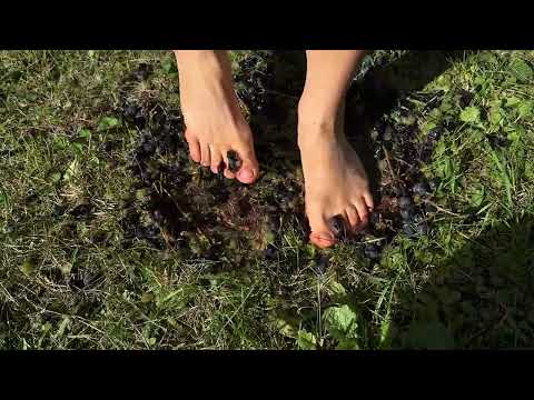 How to properly crush grape juice barefoot 🍇 subscribe to see more 👣