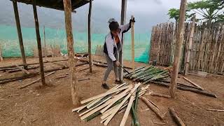 Farm life: Chopping bamboo to complete the new chicken coop, Single mom Build farm