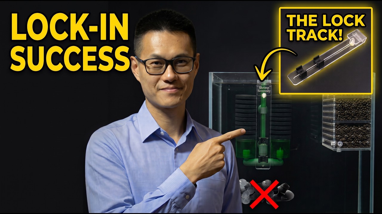Stop Your Sponge Filter From Floating (Forever)