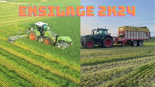 Ensilage d'herbe pour les vaches!!!