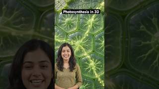 Photosynthesis in 3D Animation | Himadri Singh