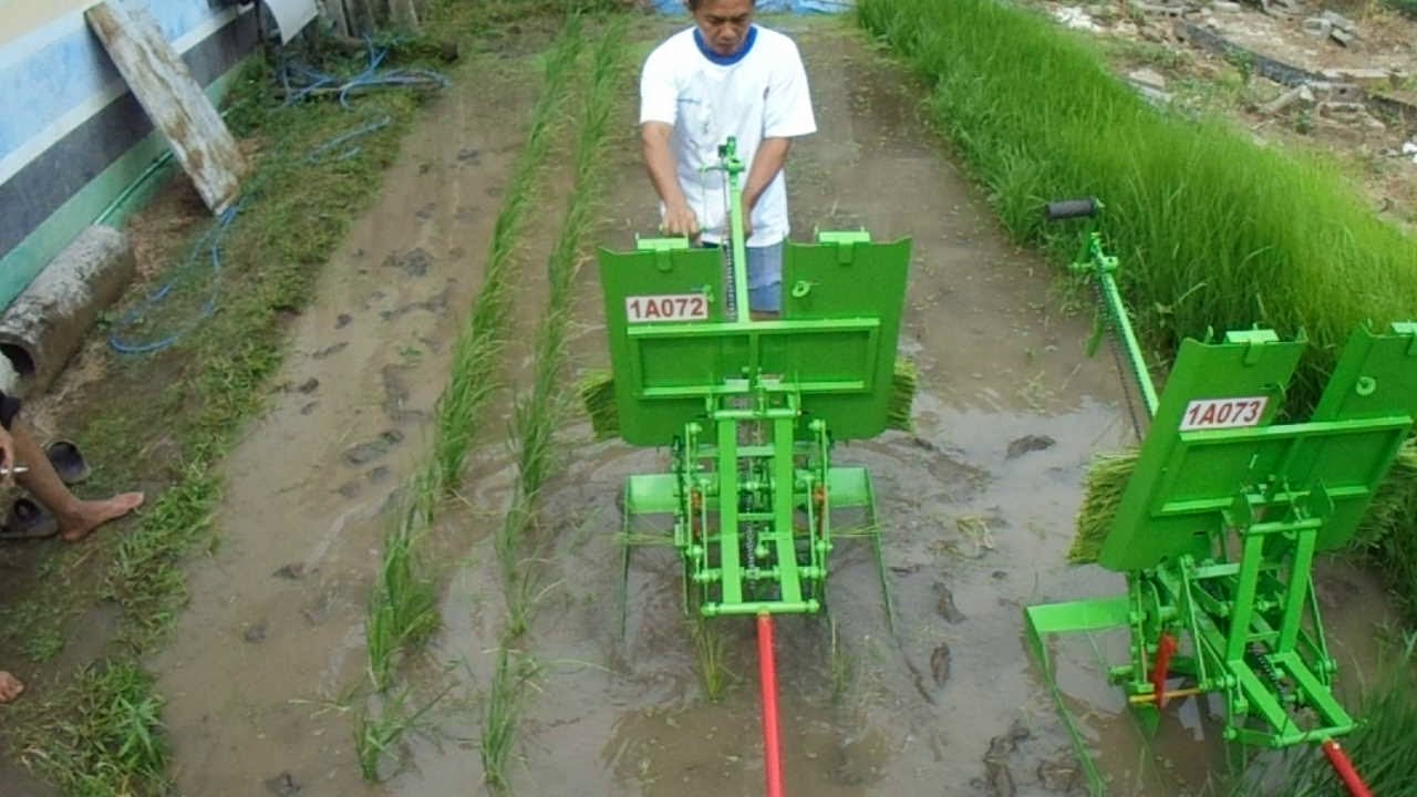 Alat Tanam Padi Unik 1A072 - YouTube