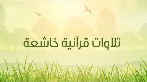 تلاوة مميزة سورة النبأ - القارئ عبدالله البعيجان