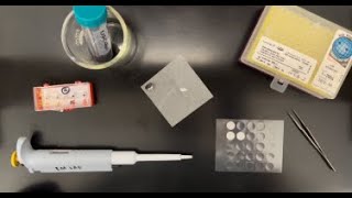 Preparing a Sample for SEM Analysis that is Dispersed in a Liquid