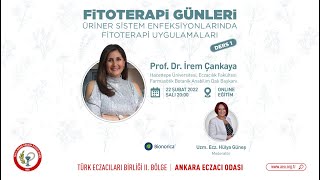 "Üriner Sistem Enfeksiyonlarında Fitoterapi Uygulamaları" Online Akademik Eğitimi