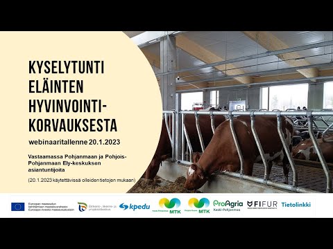 Video: Uralin jälleenrakennuspankki. Pankkiluokitus ja tallettajien arvostelut