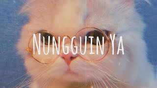 Nungguin Ya - Dariku Remix | DJ KAMU ADALAH INSPIRASI KU // (Vietsub   Lyrics)