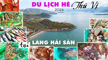 Mê Mẩn Hải Sản Bơi Lội, Phong Phú, Bình Dân Tại Cảng Cá Vĩnh Lương Thu Hút Du Khách Đến Nha Trang