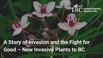 A Story of Invasion and the Fight for Good – New Invasive Plants to BC
