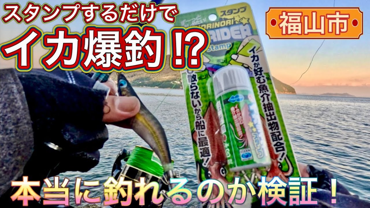 【最臭兵器⁉︎】11月福山市内海町エギング！！ノリノリイカライダー使ってみた！