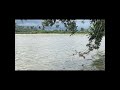El viaje silencioso de un río. Ecuador- Rio Blanco, sector la Independencia.