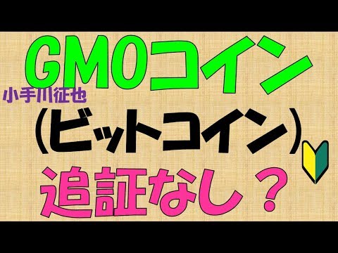 GMOコイン(ビットコイン・仮想通貨)追証なし？