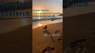 Nigar Muharemürrem Senisevgi̇ni̇n Özü Video