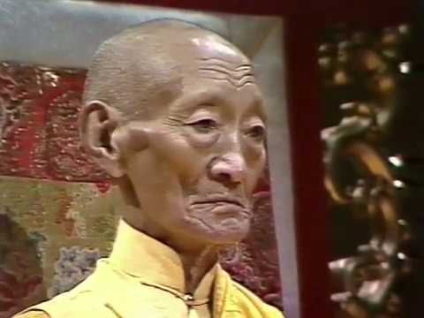 Vídeo: Conciencia De La Muerte, El Renacimiento Y El Estado Del Bardo Según El Budismo Tibetano - Vista Alternativa