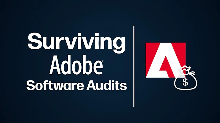 Everything You Need To Know About Adobe Software Audits