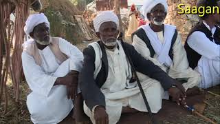 Eritrean Saho Music Marcawi Salih Mohammed (Protein)