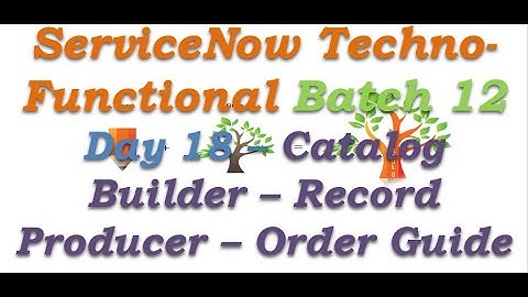 Batch 12 | Day 18 | Order Guide - Record Producer - Catalog Builder - Data Lookup #Shorts #Short