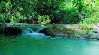 Waterfall Sounds for Studying – Study Better with Calming Waterfall Noise