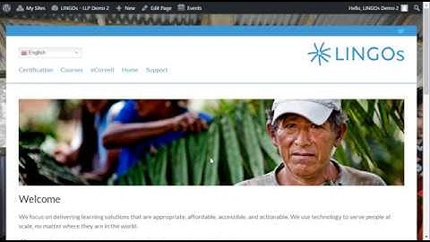 LLP How to add an image to a widget
