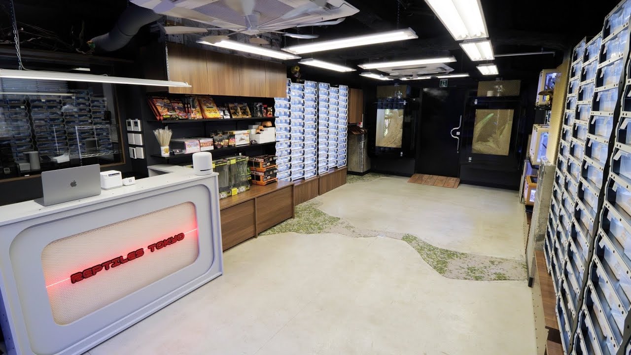 秋葉原本店オープンして約1ヶ月の現状をお話しします。