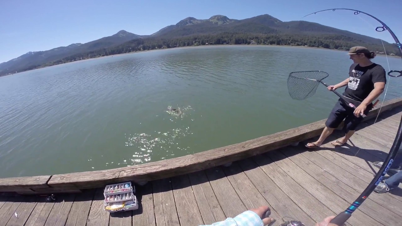 Fishing Juneau, AK Gastineau channel 7318 YouTube