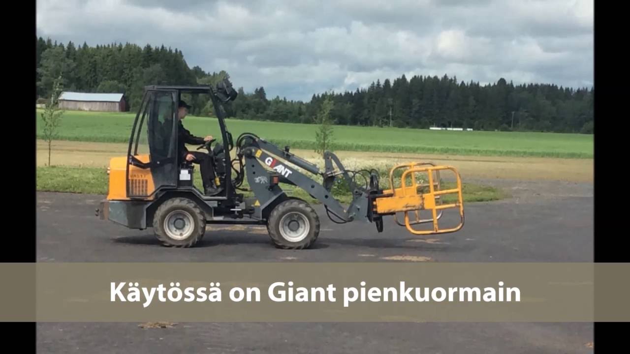 Rehupaalien punnitus, Mustiala