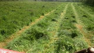 Mowing grass to make silage for winter feed