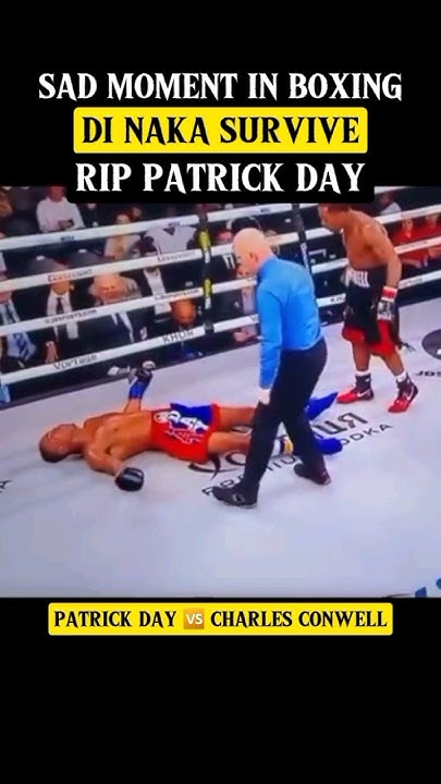 boxer patrick day kids
