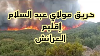 حريق مولاي عبد السلام إقليم العرائش اليوم شمال المغرب