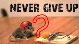 How To Use Persistence to Cope With Failure