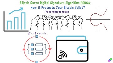 Elliptic Curve Digital Signature Algorithm ECDSA: how it protects your Bitcoin wallet?