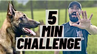 EXERCISING MY MALINOIS IN 5 MINUTES! MENTAL AND PHYSICAL WORKOUT YOU'VE NEVER SEEN!