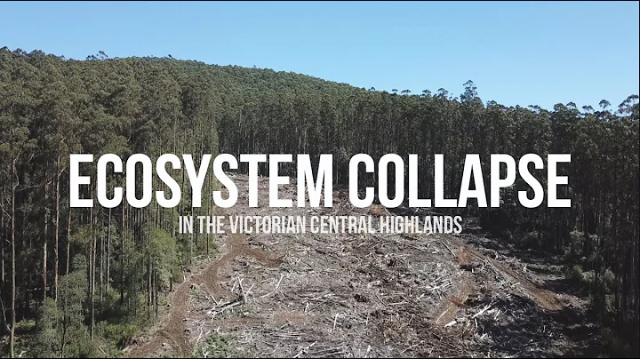 Ecosystem Collapse in the Victorian Central Highlands