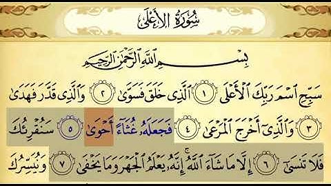 سورة الأعلى ٥-٧ تكرار ٣ مرات