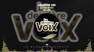 COLLECTIF LDV - 07 LE GRAND ARTISTE [Audio Officiel]
