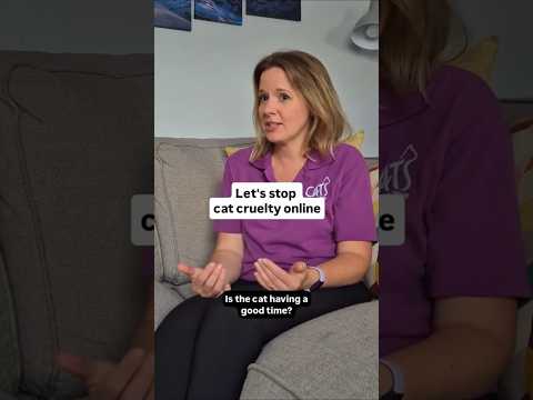 Cucumbers behind cats for laughs? Not a trend... just a red flag. 🚩