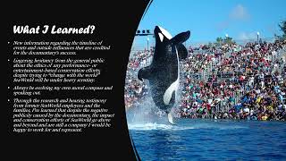 Blackfish Effect CWI 101 Final Presentation 1