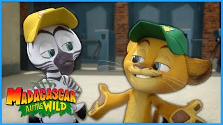 The Best Baseball Game ⚾ | DreamWorks Madagascar