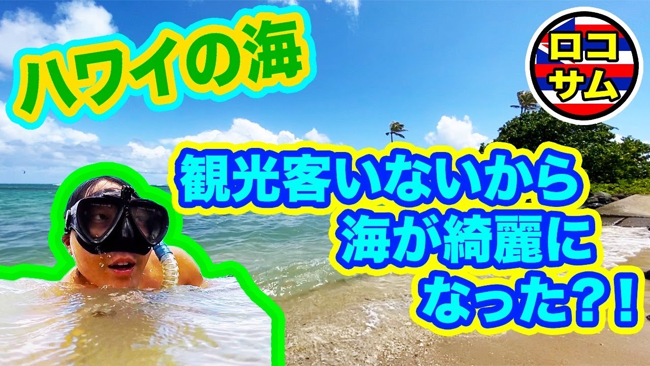 ハワイのビーチ 観光客が減って海が綺麗になったのか検証してみた Youtube