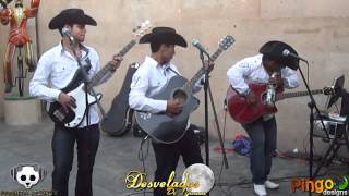 Desvelados De Tijuana - El Manicero En Vivo