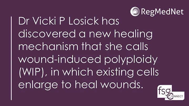 Discovering the mechanisms behind wound healing: a...