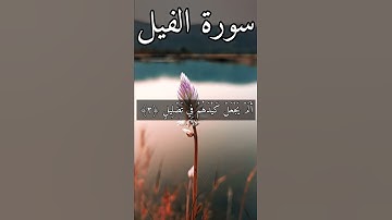 سورة الفيل بصوت هزاع البلوشي#القرآن_الكريم_منوعات_منوعات‎