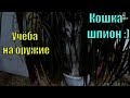 Учёба на оружие. Кошка шпион. Детки // Семья Фетистовых