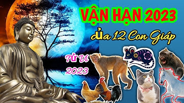 Vận Hạn 2023 - Vận Hạn 12 Con Giáp Năm Quý Mão @Luangiai12congiap