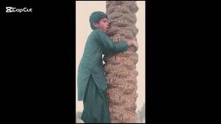 For you peag funny video 🤣🤣@hbaservices