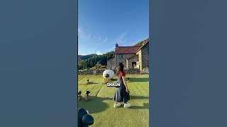 Step Into the World of Shaun the Sheep in Japan(@sribaruara)