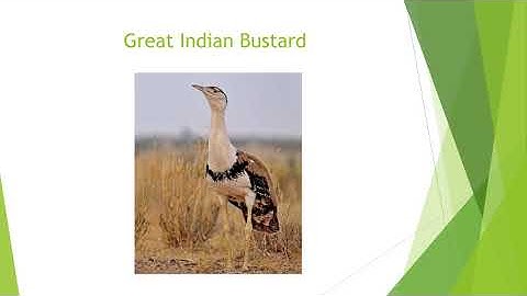 Standard 5: Lessons 4 and 18: Our Environment: Part 3 of 3